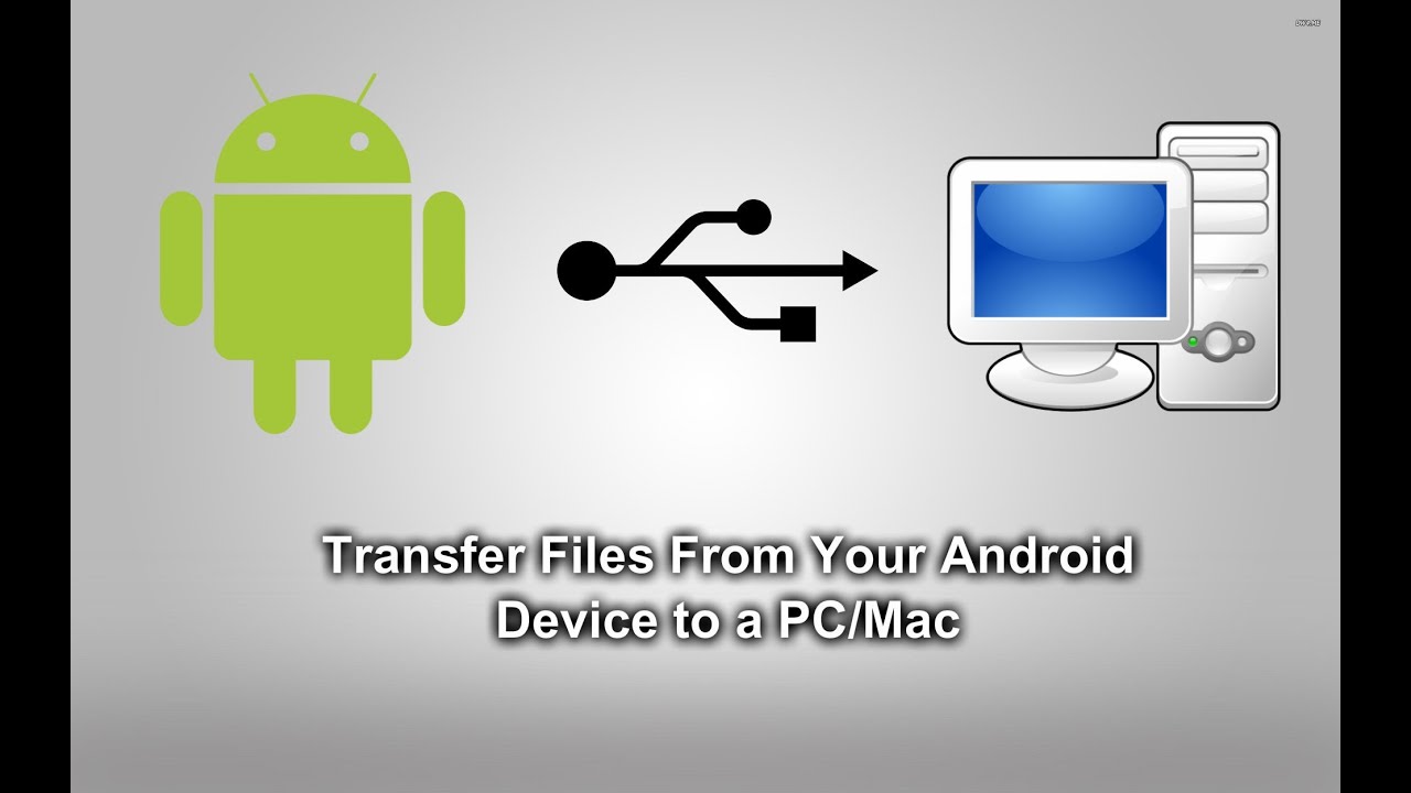 transferring word for mac files to a pc